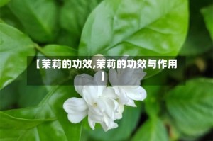 【茉莉的功效,茉莉的功效与作用】