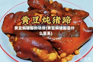 黄豆焖猪脚的功效(黄豆焖猪脚是什么菜系)