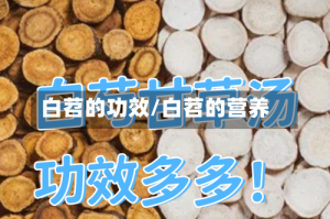白苕的功效/白苕的营养
