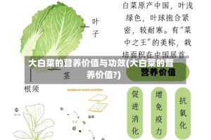 大白菜的营养价值与功效(大白菜的营养价值?)