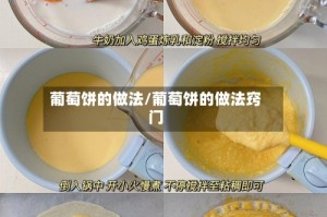 葡萄饼的做法/葡萄饼的做法窍门