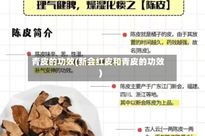 青皮的功效(新会红皮和青皮的功效)