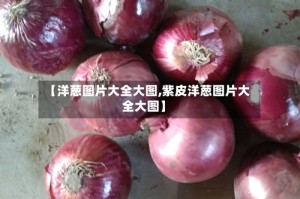 【洋葱图片大全大图,紫皮洋葱图片大全大图】