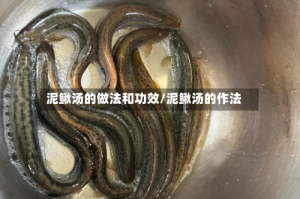 泥鳅汤的做法和功效/泥鳅汤的作法