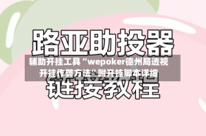 辅助开挂工具“wepoker德州局透视开挂作弊方法”附开挂脚本详细