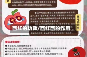 西红的功效/西红西的作用
