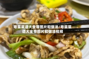 粤菜菜谱大全带图片和做法/粤菜菜谱大全带图片和做法视频