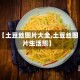 【土豆丝图片大全,土豆丝图片生活照】