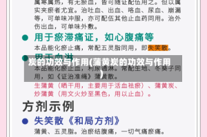 炭的功效与作用(蒲黄炭的功效与作用)