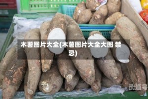 木薯图片大全(木薯图片大全大图 禁忌)