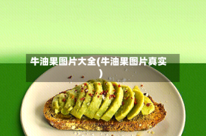 牛油果图片大全(牛油果图片真实)