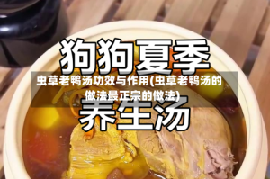 虫草老鸭汤功效与作用(虫草老鸭汤的做法最正宗的做法)