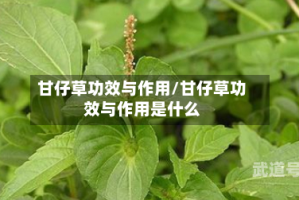甘仔草功效与作用/甘仔草功效与作用是什么