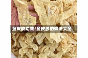 鱼皮胶功效/鱼皮胶的做法大全
