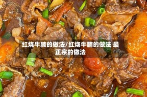 红烧牛腩的做法/红烧牛腩的做法 最正宗的做法