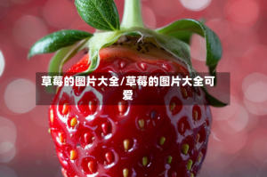 草莓的图片大全/草莓的图片大全可爱