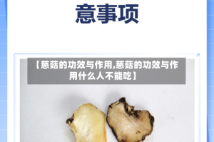 【慈菇的功效与作用,慈菇的功效与作用什么人不能吃】