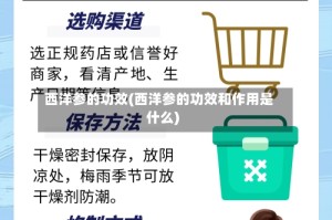 西洋参的功效(西洋参的功效和作用是什么)