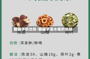 糖罐子的功效/糖罐子泡水喝的功效