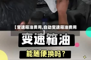 【变速箱油费用,自动变速箱油费用】