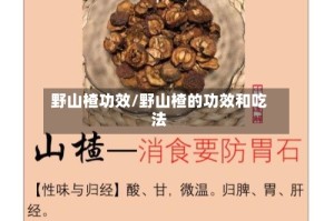 野山楂功效/野山楂的功效和吃法