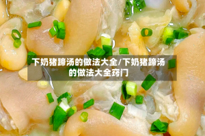 下奶猪蹄汤的做法大全/下奶猪蹄汤的做法大全窍门