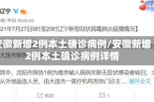 安徽新增2例本土确诊病例/安徽新增2例本土确诊病例详情
