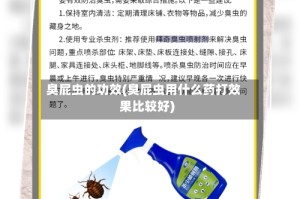 臭屁虫的功效(臭屁虫用什么药打效果比较好)