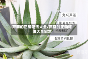 芦荟的正确吃法大全/芦荟的正确吃法大全家常