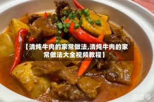 【清炖牛肉的家常做法,清炖牛肉的家常做法大全视频教程】
