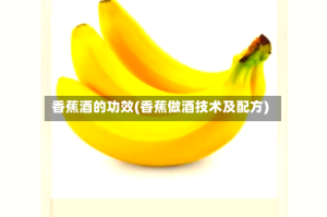 香蕉酒的功效(香蕉做酒技术及配方)