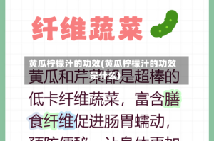 黄瓜柠檬汁的功效(黄瓜柠檬汁的功效是什么)