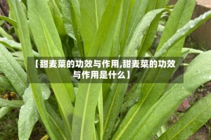 【甜麦菜的功效与作用,甜麦菜的功效与作用是什么】