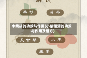 小柴胡的功效与作用(小柴胡汤的功效与作用及组方)
