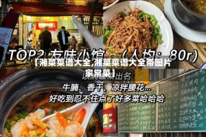 【湘菜菜谱大全,湘菜菜谱大全带图片 家常菜】