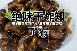 知了的功效与作用/油炸知了的功效与作用