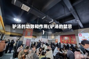 驴汤的功效和作用(驴汤的禁忌)