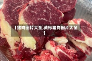 【猪肉图片大全,黄标猪肉图片大全】