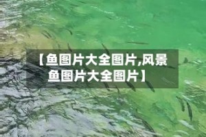 【鱼图片大全图片,风景鱼图片大全图片】