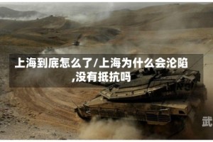 上海到底怎么了/上海为什么会沦陷,没有抵抗吗