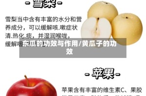 东瓜的功效与作用/黄瓜子的功效