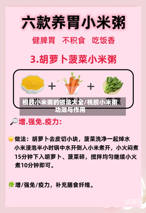 桃胶小米粥的做法大全/桃胶小米粥功效与作用-第1张图片