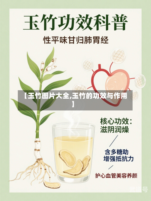 【玉竹图片大全,玉竹的功效与作用】-第1张图片