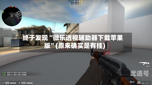 终于发现“微乐透视辅助器下载苹果版	”(原来确实是有挂)-第2张图片