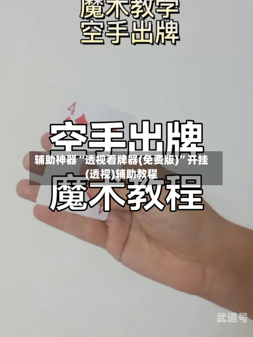 辅助神器“透视看牌器(免费版)	”开挂(透视)辅助教程-第1张图片