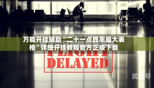 万能开挂辅助“二十一点胜率最大表格	”详细开挂教程官方正版下载-第2张图片