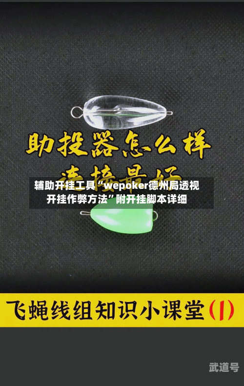 辅助开挂工具“wepoker德州局透视开挂作弊方法”附开挂脚本详细-第3张图片