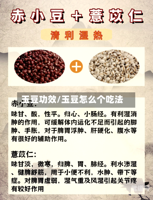 玉豆功效/玉豆怎么个吃法-第1张图片