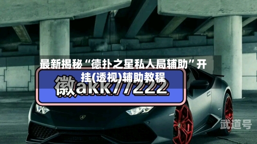 最新揭秘“德扑之星私人局辅助”开挂(透视)辅助教程-第1张图片