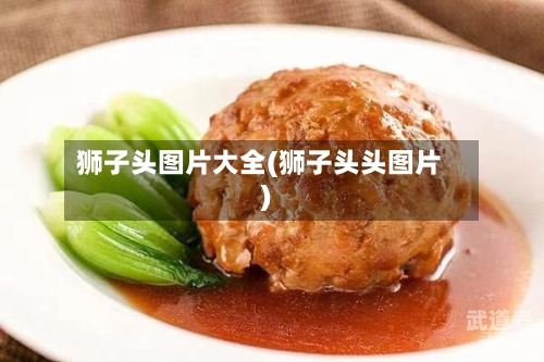 狮子头图片大全(狮子头头图片)-第1张图片